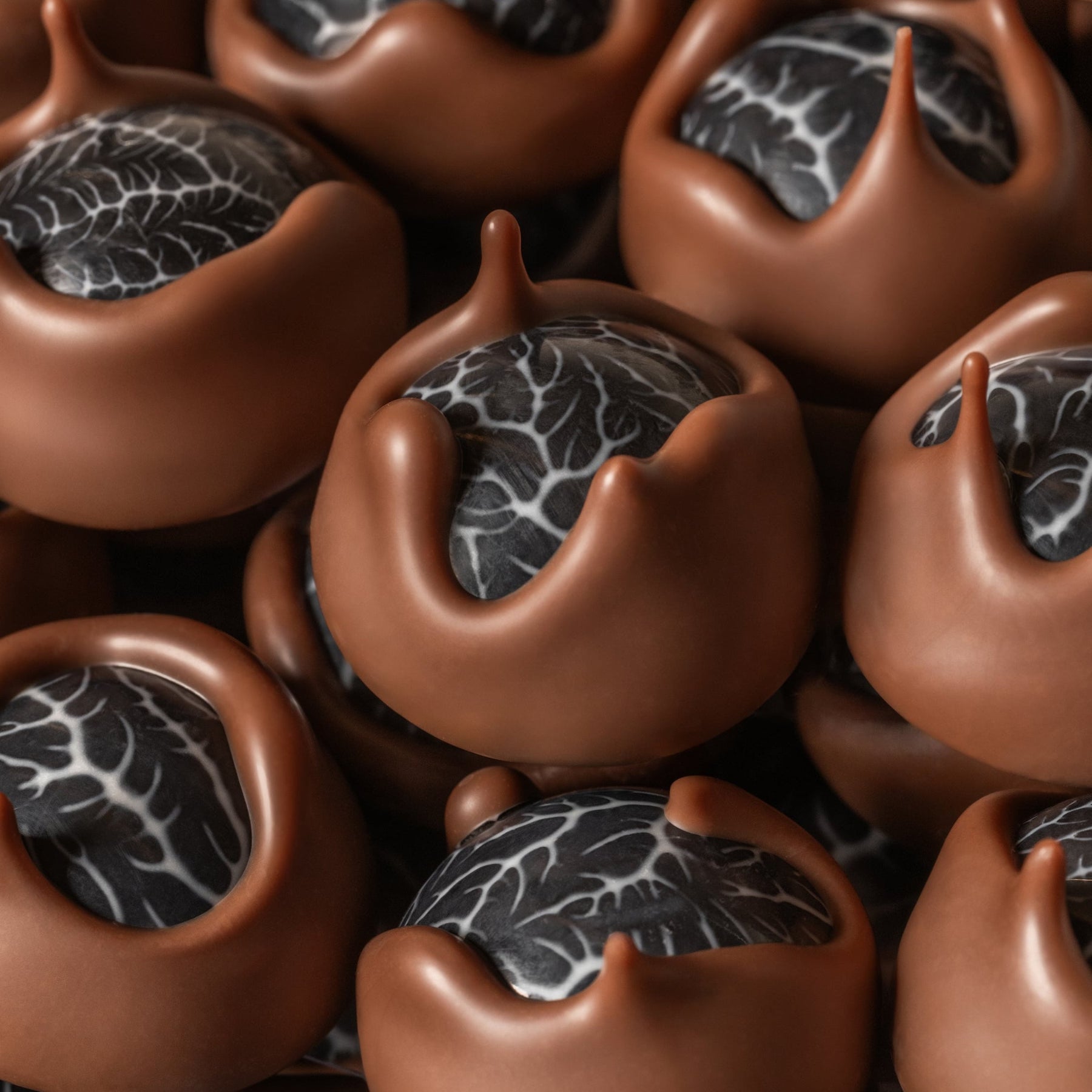 Close-up of chocolate bonbons with a dark handpainted design center
