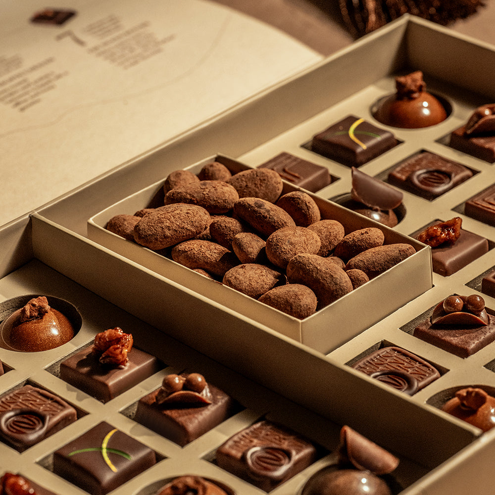 Silk Road Box Capsule Collection